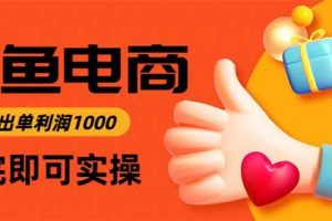 （16473期）闲鱼高利润电商，当天上架当天出单，一单利润300