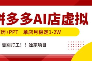 (17048期)拼多多AI店,简历+PPT,单店月稳定1-2W,告别打工,独家项目!