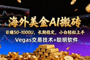 (17143期)【海外美金AI搬砖】Vegas交易技术+聪明软件,日赚50-1000U,长期稳定,小白轻松上手。