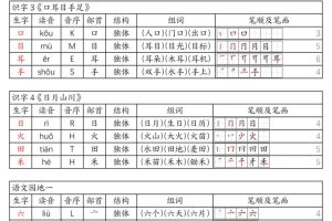 一年级上册语文《生字组词课课贴》（25秋）