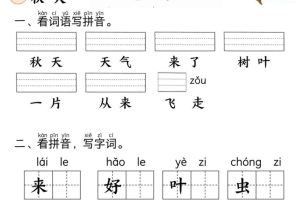 新一上语文课本里的生字练习（5-8单元看拼音写词语）含答案23页