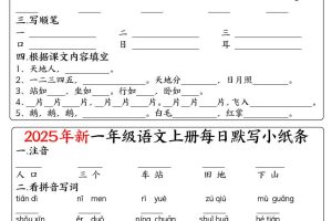 一年级上语文空白每日默写小纸条
