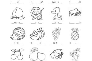 一年级上语文看图写音节练习