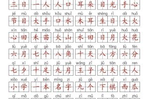 25新一上语文期中复习考点通关练习（含答案14页）