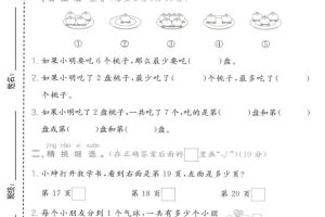 一年级上数学数量关系专项测试卷《苏教版》