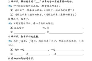 二下语文期中复习资料