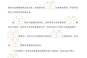 二下语文情境中看拼音写词语（43页）