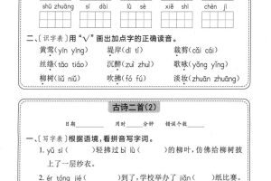 二下语文全册每日一练小纸条（含答案58页）