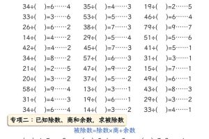 二下册数学有余数的除法五大专项（含答案13页）