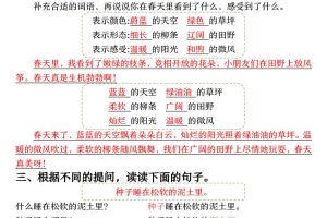 【语文园地考点梳理】二下语文