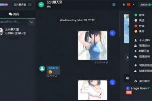最新公共聊天室系统源码 ChatNet V1.11-V1.9 完整汉化版源码 私人聊天程序