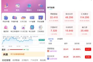 香港股票源码/大宗交易与新股申购系统源码/全套视频教程