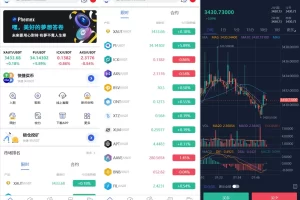 Phemex多语言交易所源码/期权交易+合约交易+新币申购+锁仓挖矿+平台币发行+K线行情控制/前端uniapp编译后+后端PHP