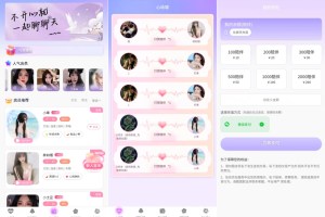 最新陪玩陪聊系统网站源码 娱乐交友系统公众号版