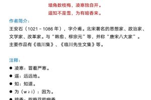 【2025秋新版】二年级语文上册必背古诗词汇总