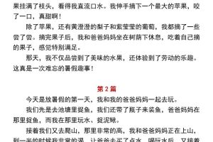 小学二年级上册语文必写作文范文《暑假趣事》