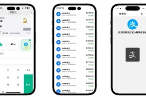 易支付 精美设计的支付收银台模板 门店收银管理系统 云支付收银台