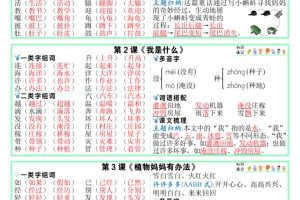 25秋新版二上语文课课贴【知识速记】9页