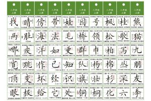 二年级上语文同步精讲字卡（共10页）