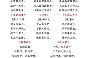 25秋二上语文暑假预习重点知识汇总20页