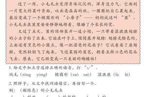 25秋二上语文期末课外阅读理解专项训练23篇（含答案33页）
