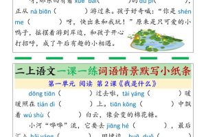 新二上语文一课一练词语情景默写小纸条（含答案28页）