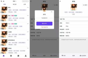 某站价值3000的仿SOUL社交友附近人婚恋约仿陌陌APP源码系统