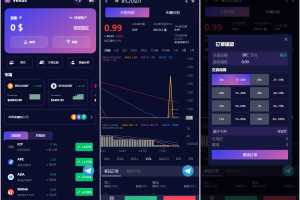 Vexus多语言虚拟货币交易所/java交易所源码/模拟账户+现货交易+永续合约+交割合约+基金理财+锁仓挖矿+质押贷款+闪兑