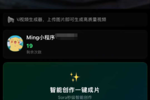 AI图生视频小程序源码Sora2小程序源码带前端和后端