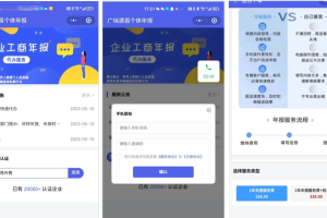 企业年报服务系统/小微服务助手系统电销年报系统企业年审企业申请管理