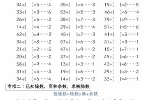 二年级下数学有余数的除法五大专项