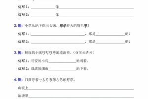 二年级下语文句子专项拔高训练