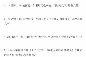 二年级下数学有余数的除法九大专项练习