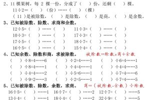 二年级下数学常考重点易错题《有余数的除法》