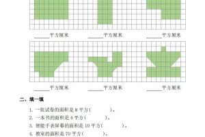 三下数学《面积》拔尖专项