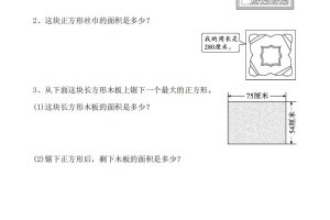 三下数学《面积》应用题专项