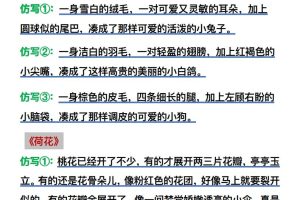 【仿写】三年级语文下册常考课内仿写