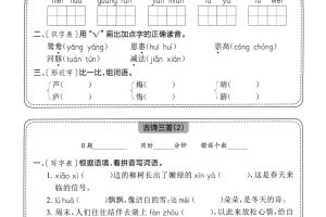 三下语文全册每日一练小纸条（含答案57页）