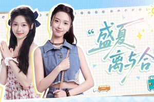 盛夏离与合